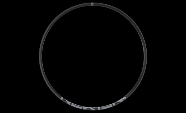 NEWMEN Rim Evolution X.A.25 24" 24h