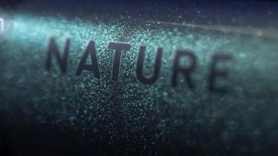 Cube Nature EXC verde'n'black Gr&ouml;&szlig;e: 54 cm / M Produktbild 4