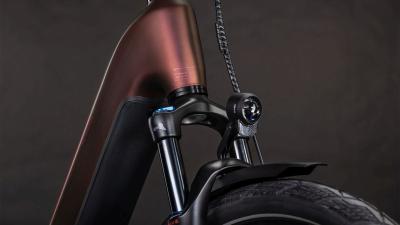 Cube Kathmandu Hybrid Pro 800 sunglow'n'chrome Gr&ouml;&szlig;e: Easy Entry 50 cm Produktbild 5